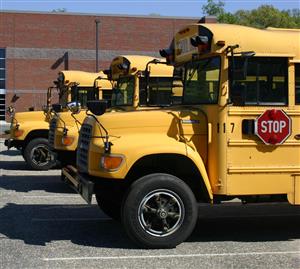 Buses Lined Up at School 